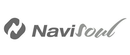 Navisoul 全logo 灰色 加深_副本