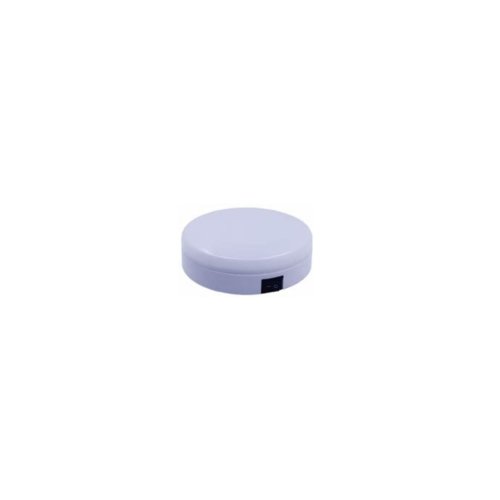 Ceiling Light (06.311)